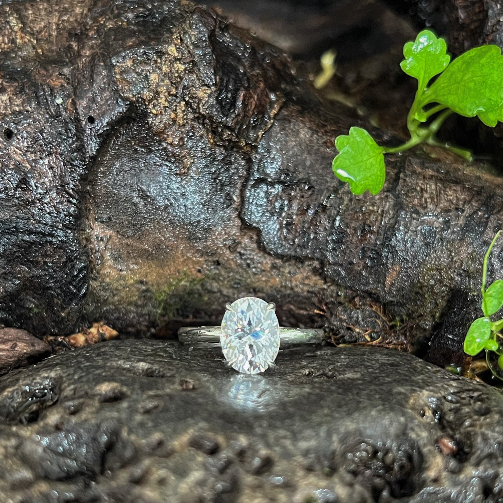 9ct white gold moissanite engagement ring