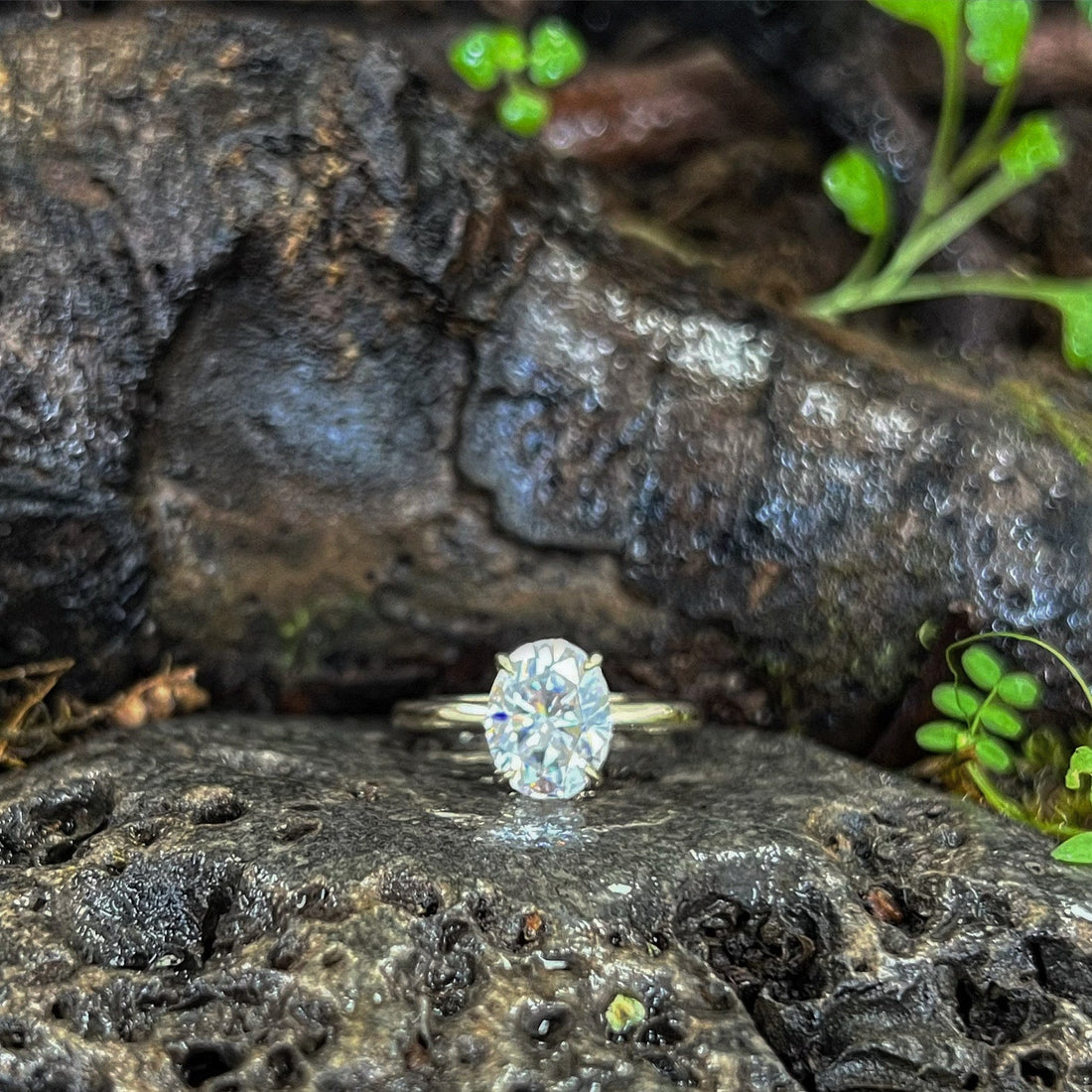 Moissanite: The Captivating Alternative for Your Engagement Ring