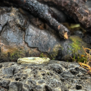 Wisdom-Into the Woods-Beech Twig Ring