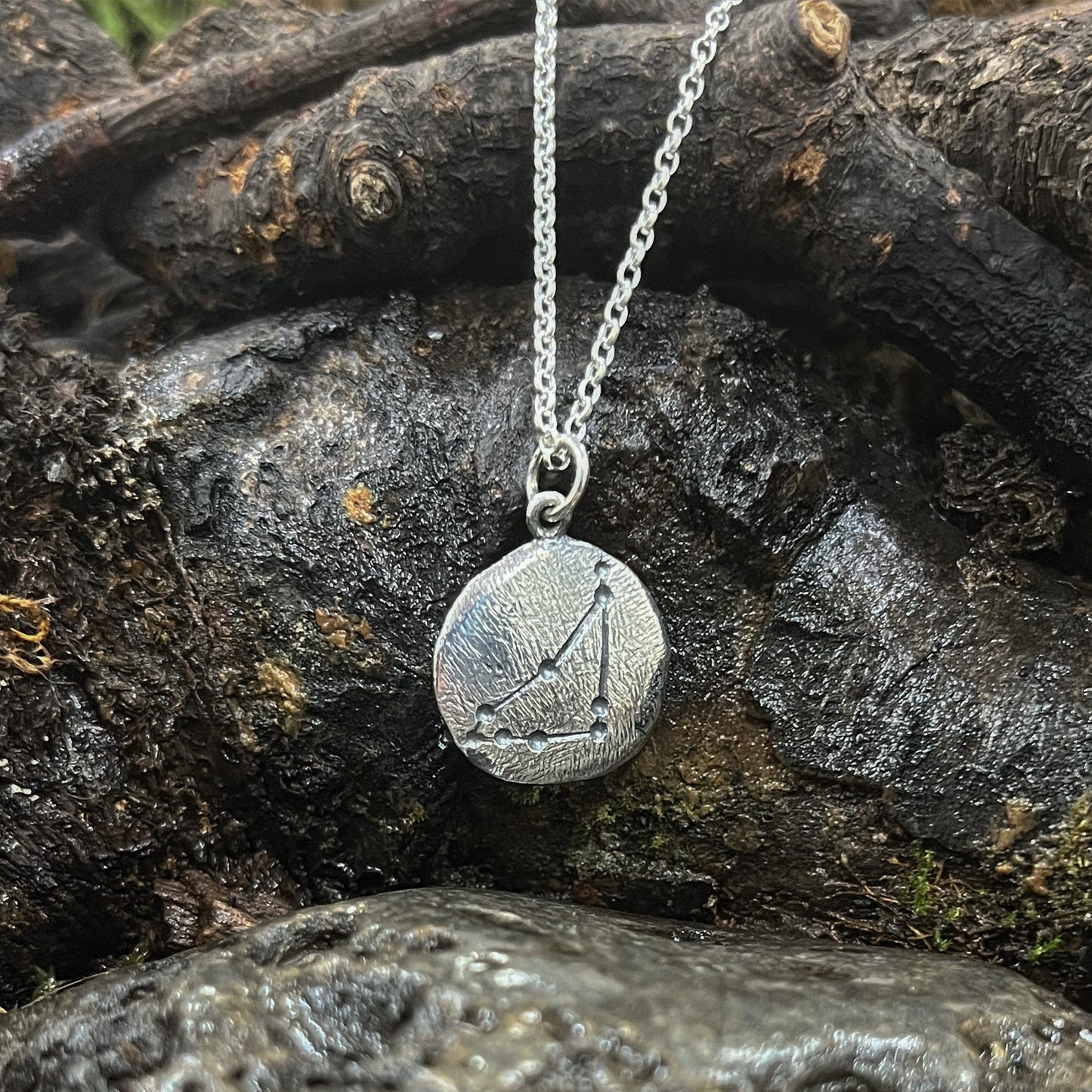 capricorn constellation