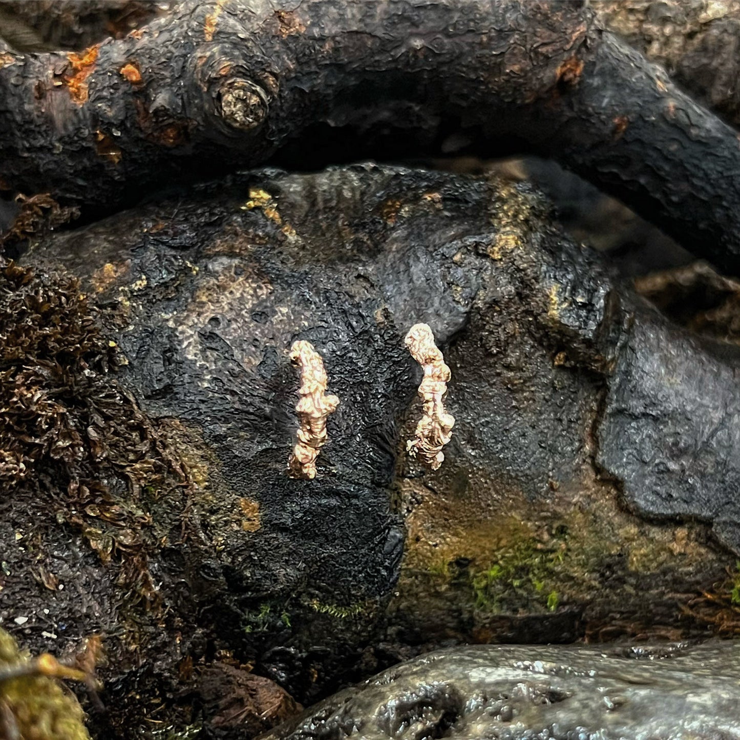Huggie Studs-Into The Woods-Hawthorn