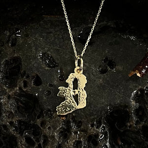 Ireland/Palestine pendant.