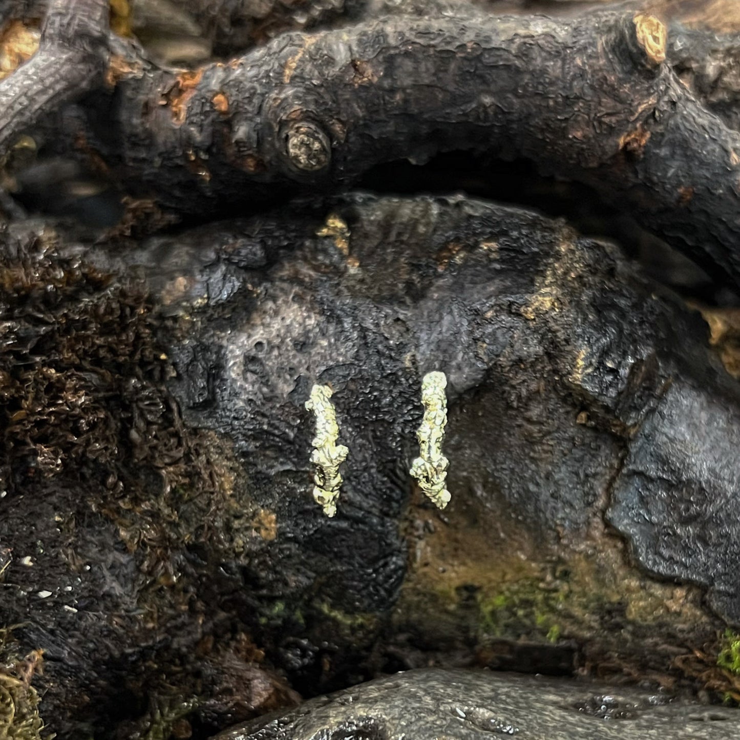 Huggie Studs-Into The Woods-Hawthorn