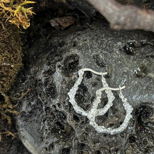 Small Hoops-Into The Woods-Hawthorne with Lichen