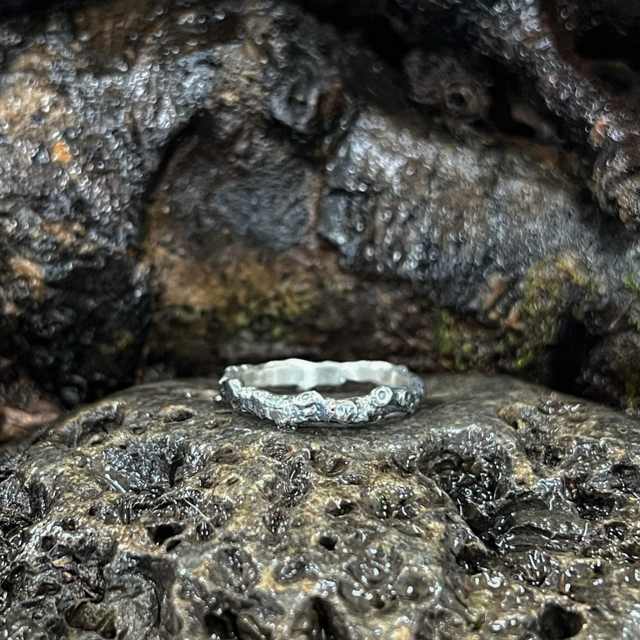 Duality-Into the Woods-Hawthorn Twig Ring-Narrow Version