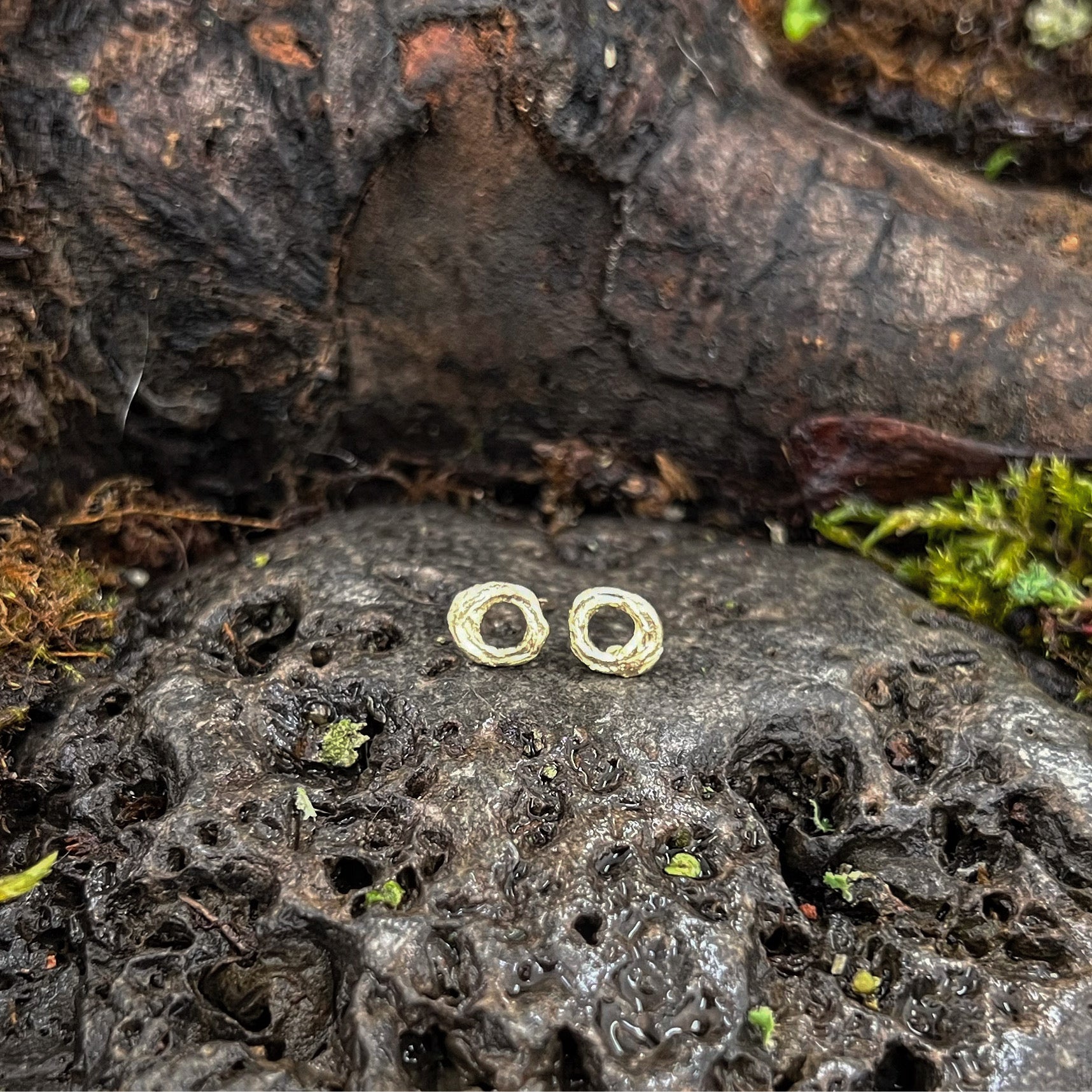 Resilience-Into The Woods-Small Twig Circle Studs