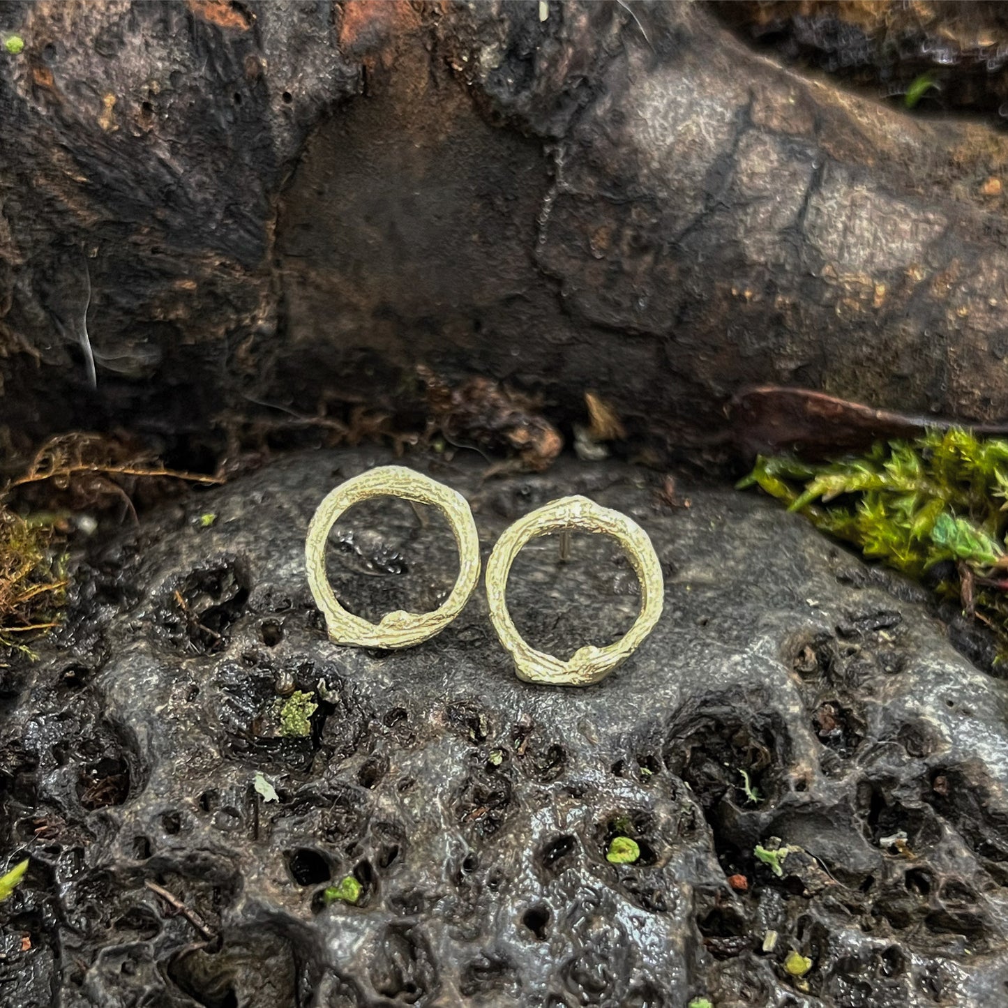 Strength-Into The Woods-Medium Twig Circle Studs